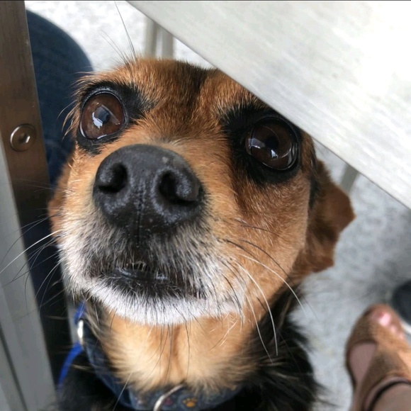 Meet your Posher, Emily - Picture 1 of 1